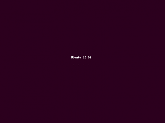 ubuntu1304-33