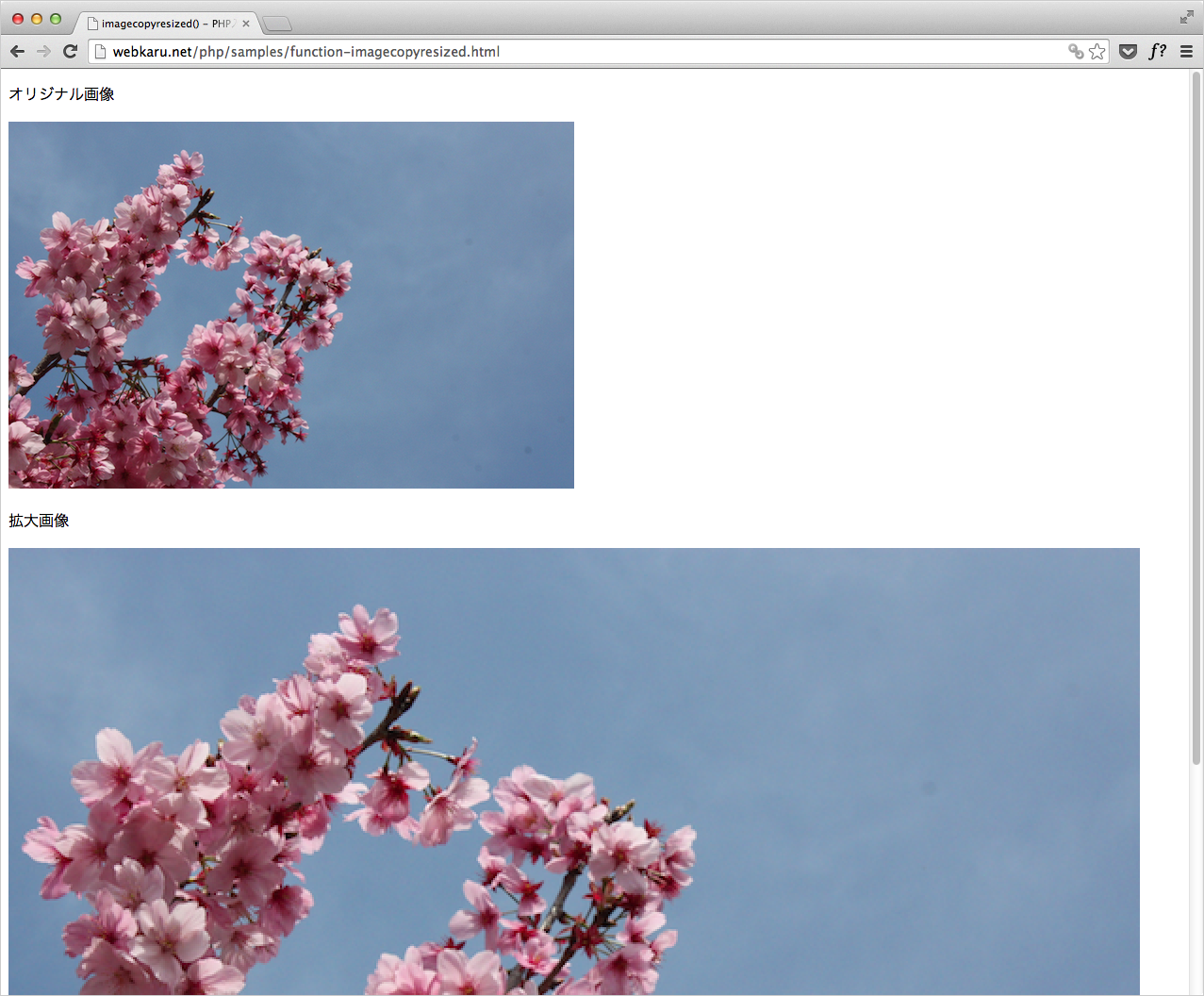 Php関数 画像をコピーし リサイズ 拡大 縮小 Imagecopyresized Php入門 Webkaru